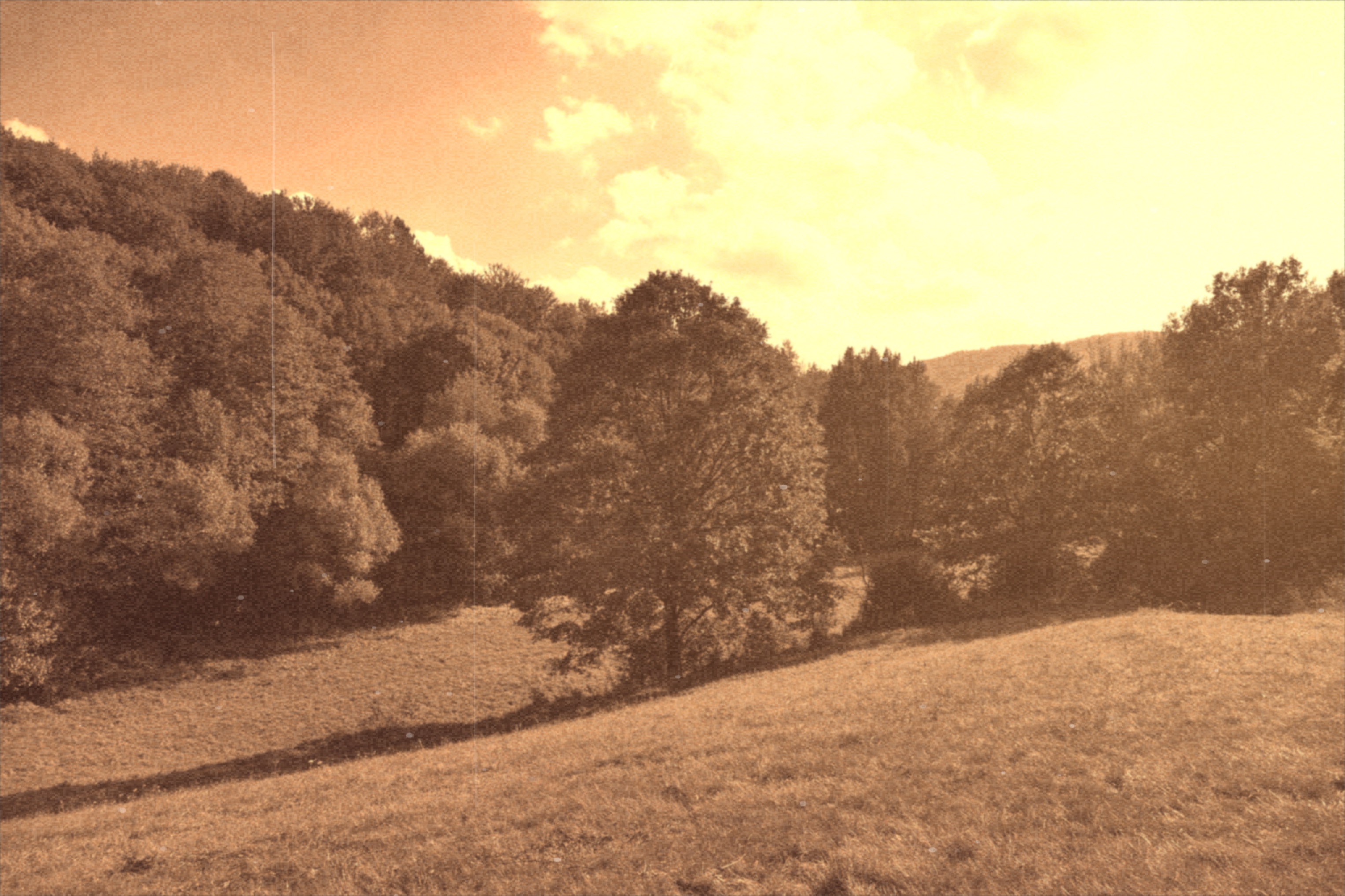 Greeny Landscape